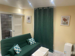 Studio refait à neuf - Coté cour Évian-Les-Bains